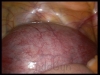 pict_1604